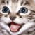 Making Your Cat Happy : 10 Tips